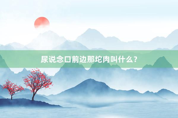 尿说念口前边那坨肉叫什么?